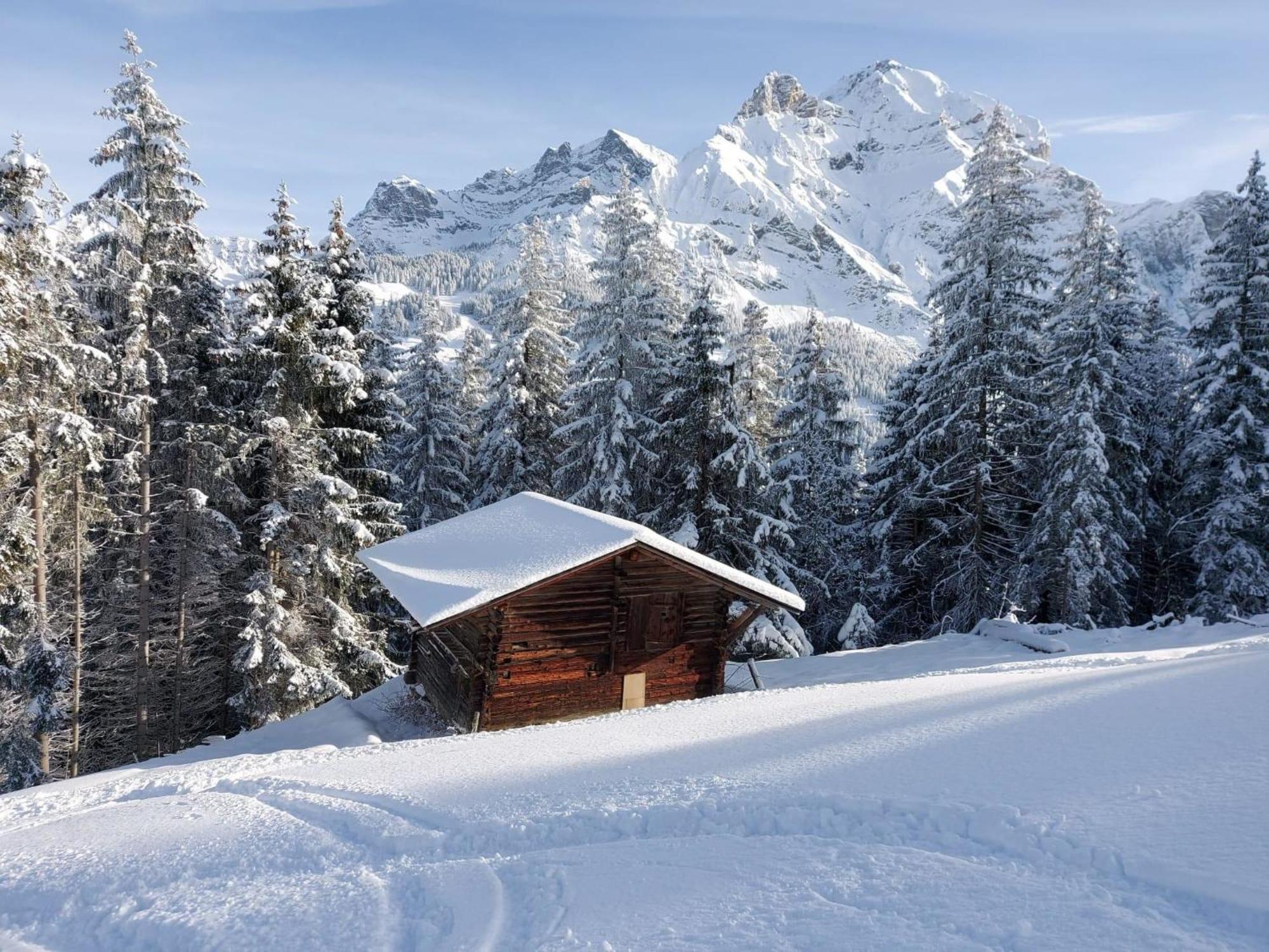 Apartment Laerchehuus By Interhome Adelboden Buitenkant foto