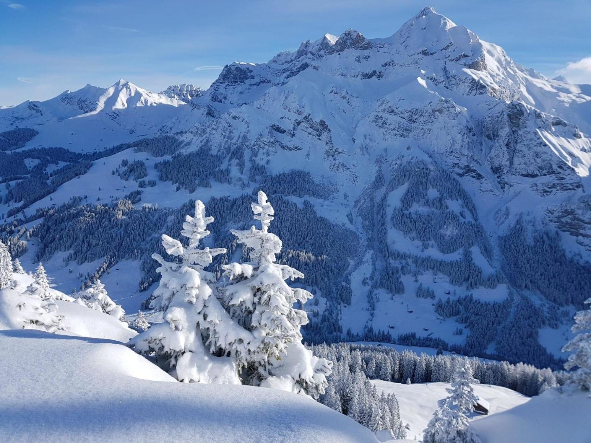 Apartment Laerchehuus By Interhome Adelboden Buitenkant foto